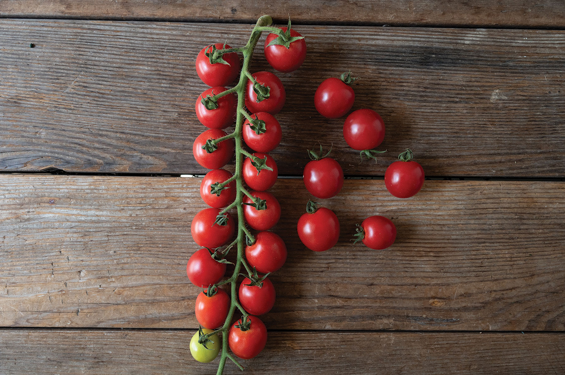 Sunpeach Cherry Tomatoes