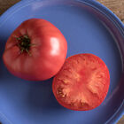 Brandywine Heirloom Tomatoes