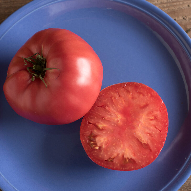 Brandywine - Heirloom & Organic Tomato Seed