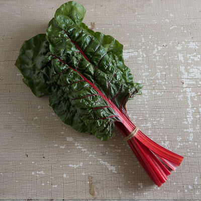 Rhubarb Supreme Swiss Chard