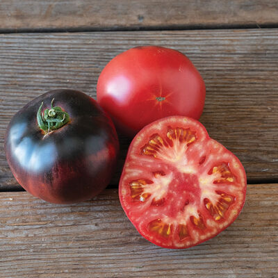 Blue Tonic Slicing Tomatoes