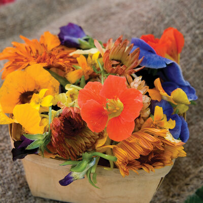 Edible Flower Collection Edible Flower Collection Flower Collections and Mixes