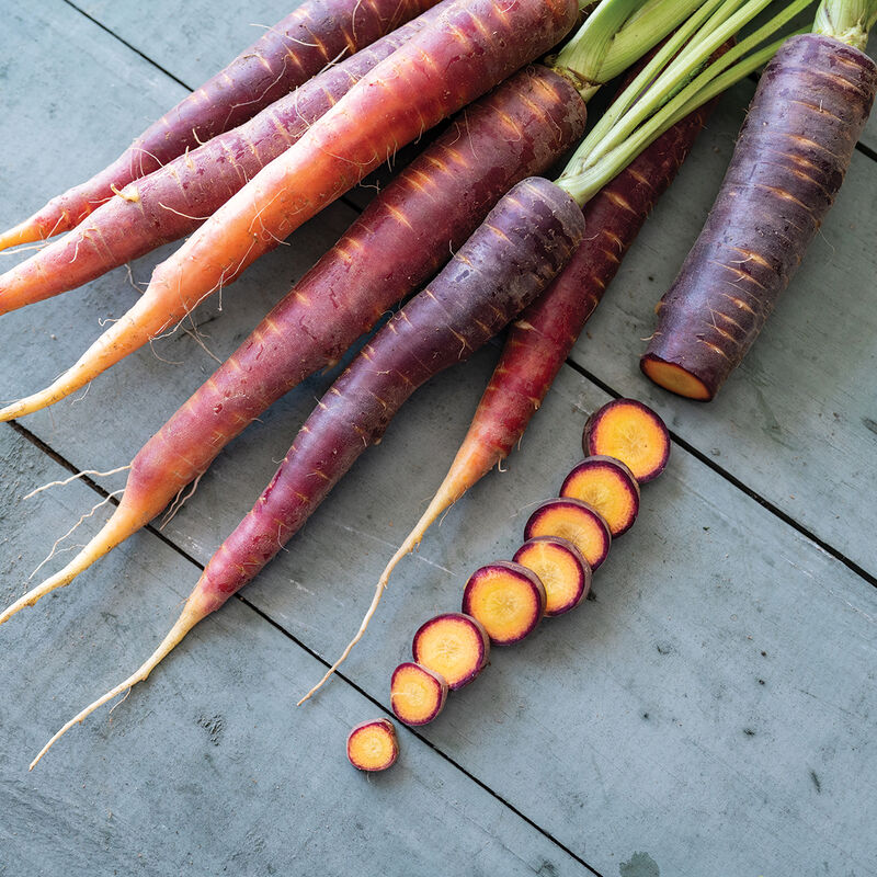 Purple Star Colored Carrots
