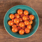 Citrine Cherry Tomatoes