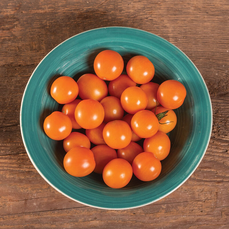 Citrine Cherry Tomatoes