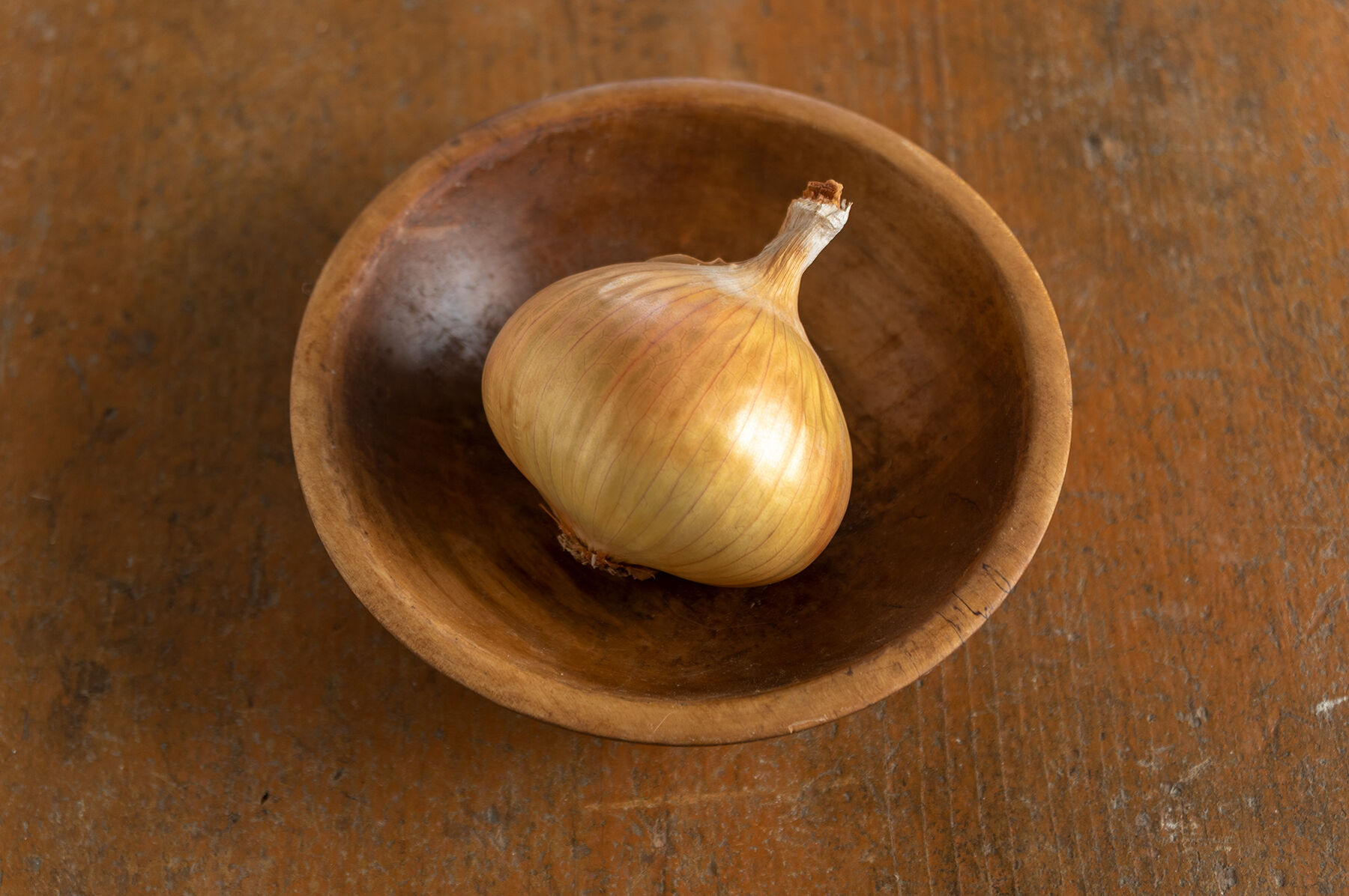 Walla Walla Onion Plants & Sets