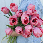 Design Impression Tulips