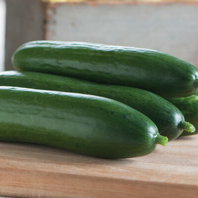 Diva Cucumbers