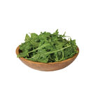 Bellezia Arugula (Roquette)