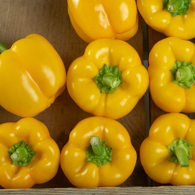 Brocanto Sweet Bell Peppers