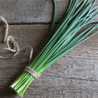 Staro Standard Chives