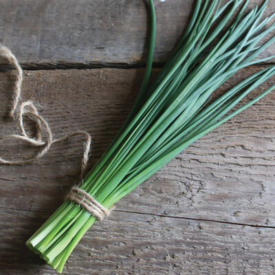Staro Standard Chives