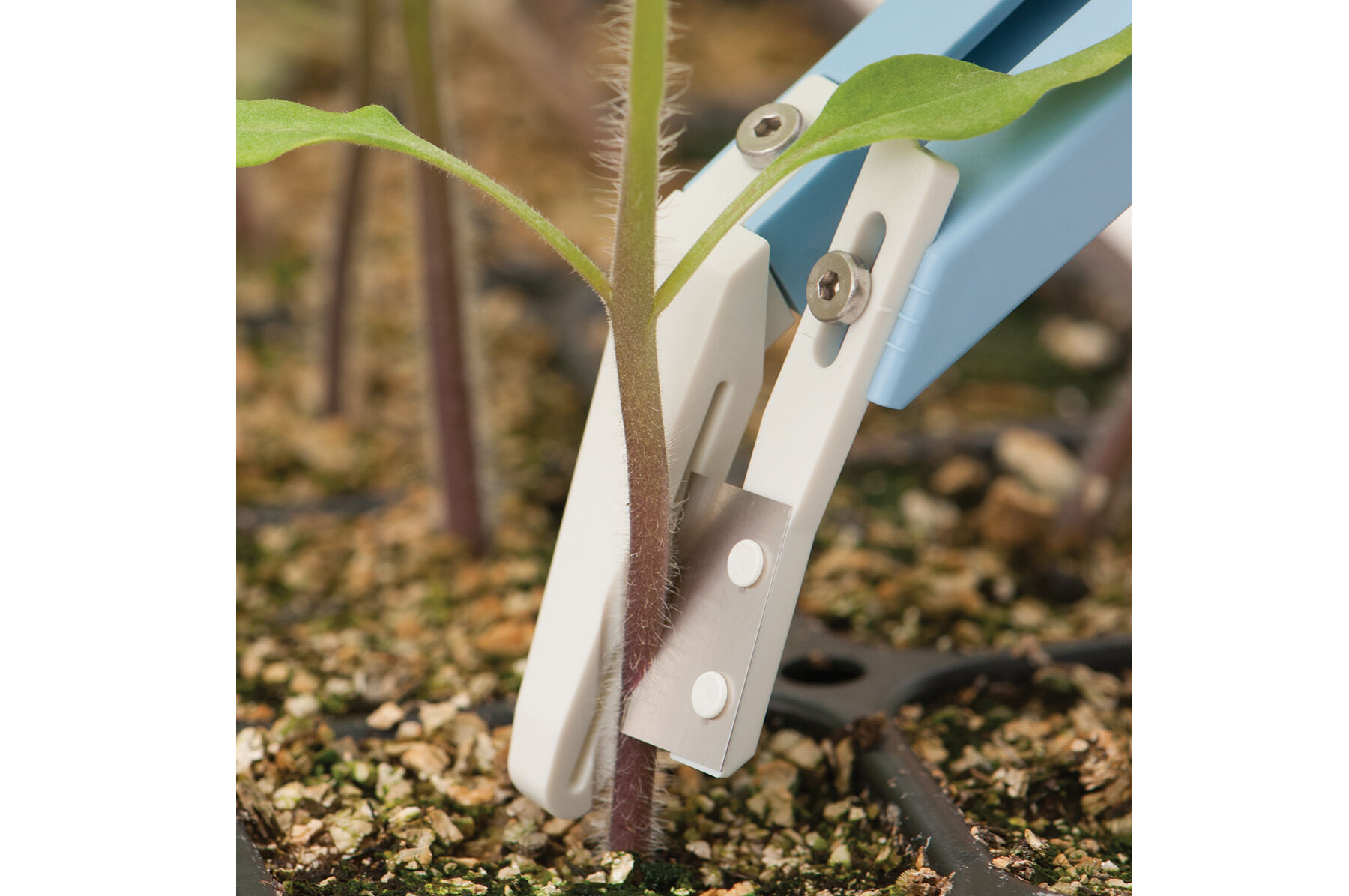 Miter-Cut Grafting Knife Seed Starting Supplies