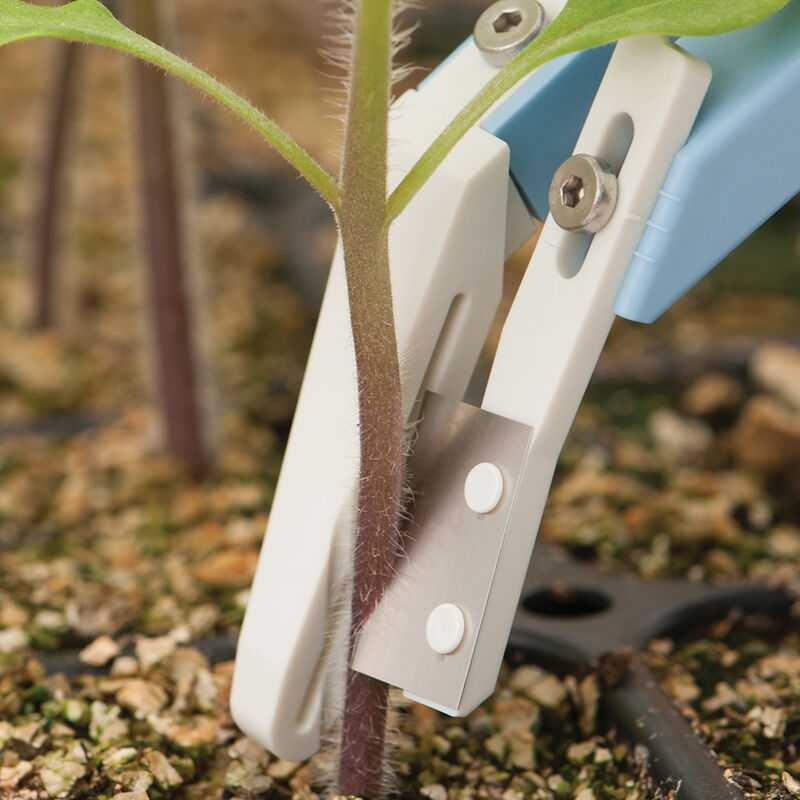 Miter-Cut Grafting Knife Miter-Cut Grafting Knife Seed Starting Supplies