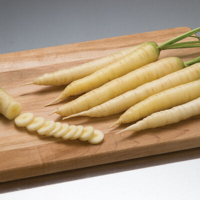 White Satin Main Crop Carrots