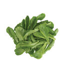 Carlsbad Romaine Lettuce (Cos)