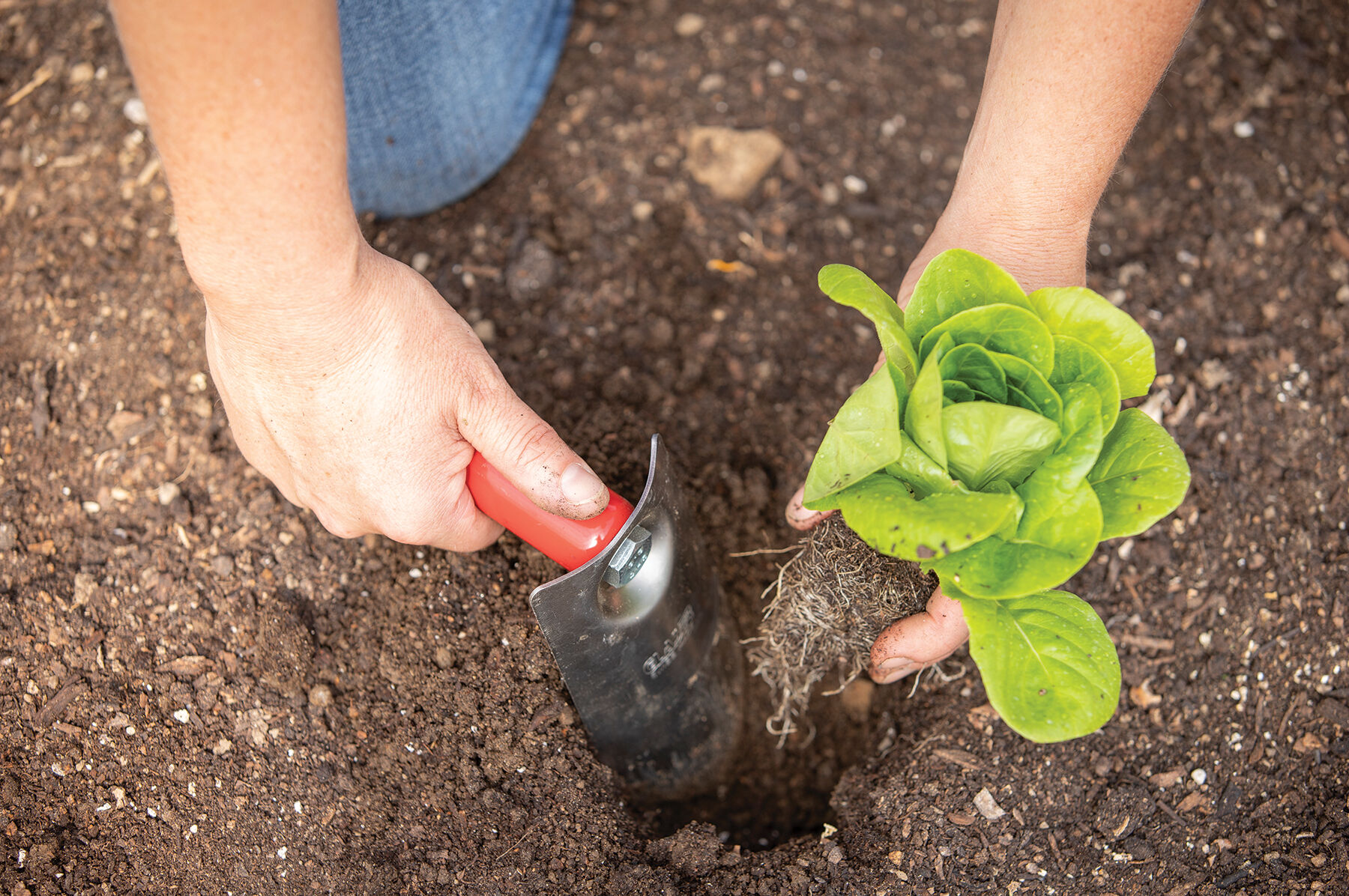 Right deals angle trowel