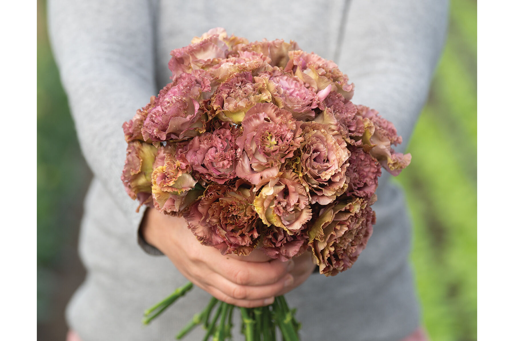 Lisianthus seeds cheap