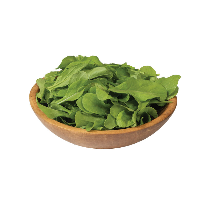 Arugula Roquette