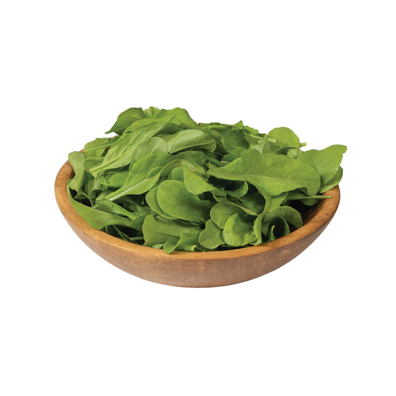 Astro Arugula (Roquette)