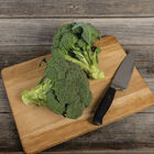 Monty Standard Broccoli