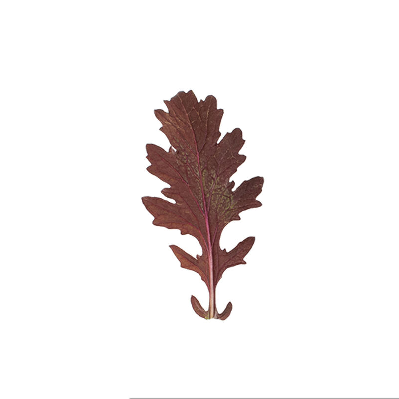 Miz America Miz America Mustard Greens