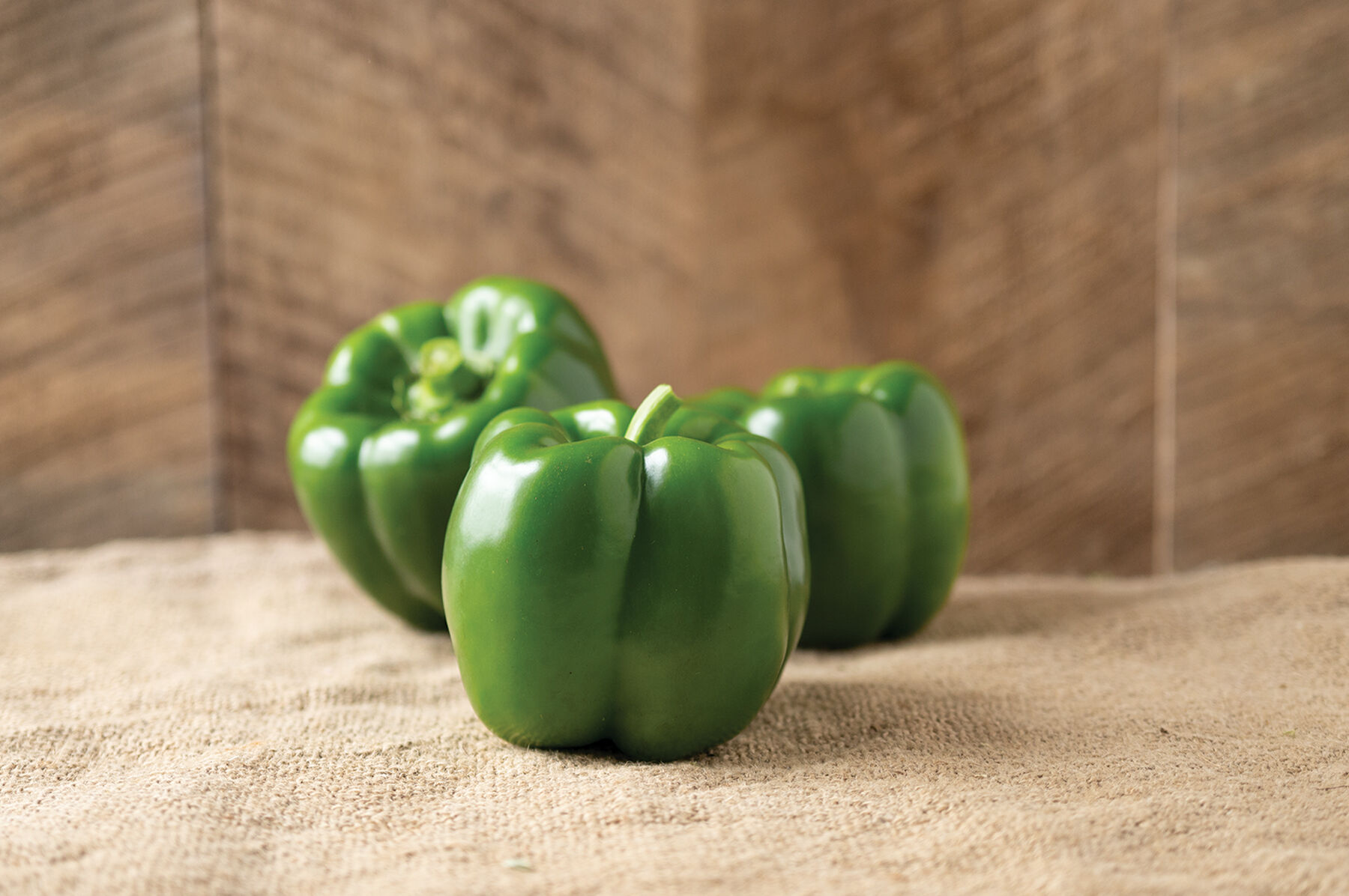 Bell shop pepper seed