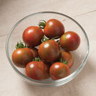 Purple Bumble Bee Specialty Tomatoes