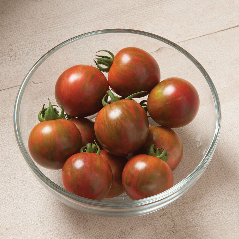 Purple Bumble Bee Specialty Tomatoes