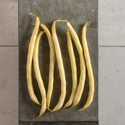 Rocdor Rocdor Bush Beans