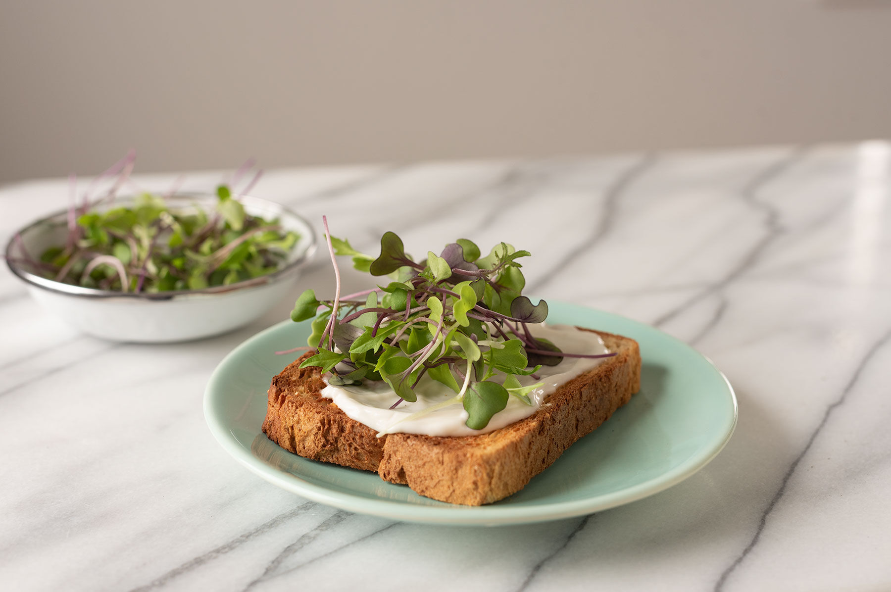 Mild Micro Mix Microgreen Mixes