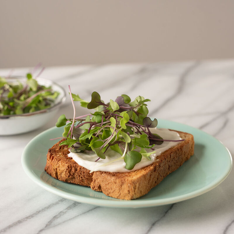 Mild Micro Mix Mild Micro Mix Microgreen Mixes