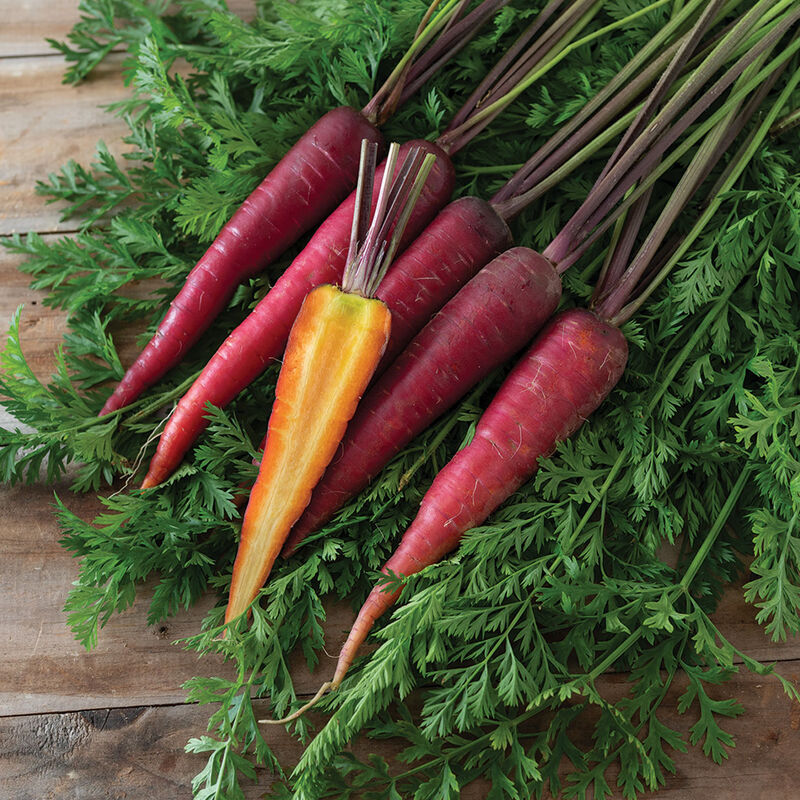 Dragon Colored Carrots