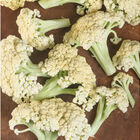 Song TJS-65 Green Stem Cauliflower