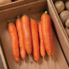 Bolero Storage Carrots