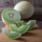Flavor Journey Honeydew Melons