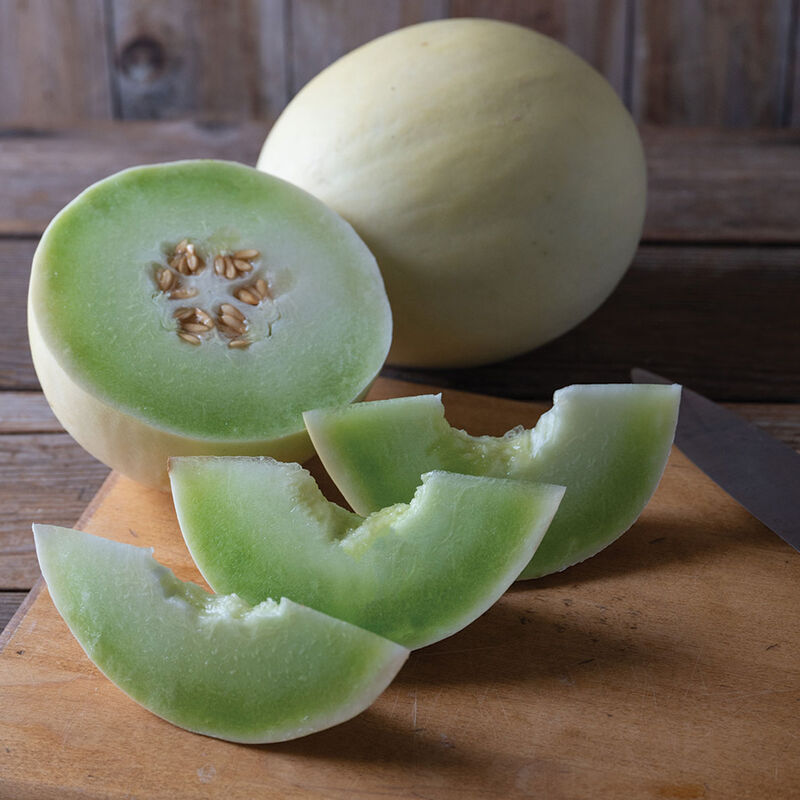 Flavor Journey Honeydew Melons