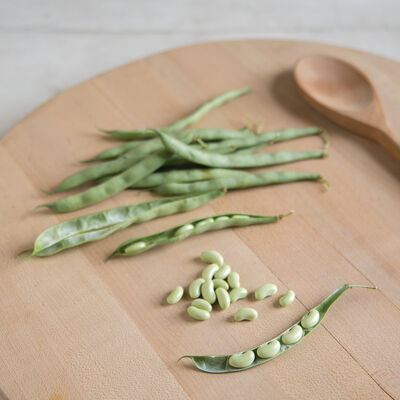 Flagrano Fresh Shell Beans