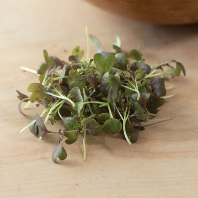 Mustard, Ruby Streaks Microgreen Vegetables