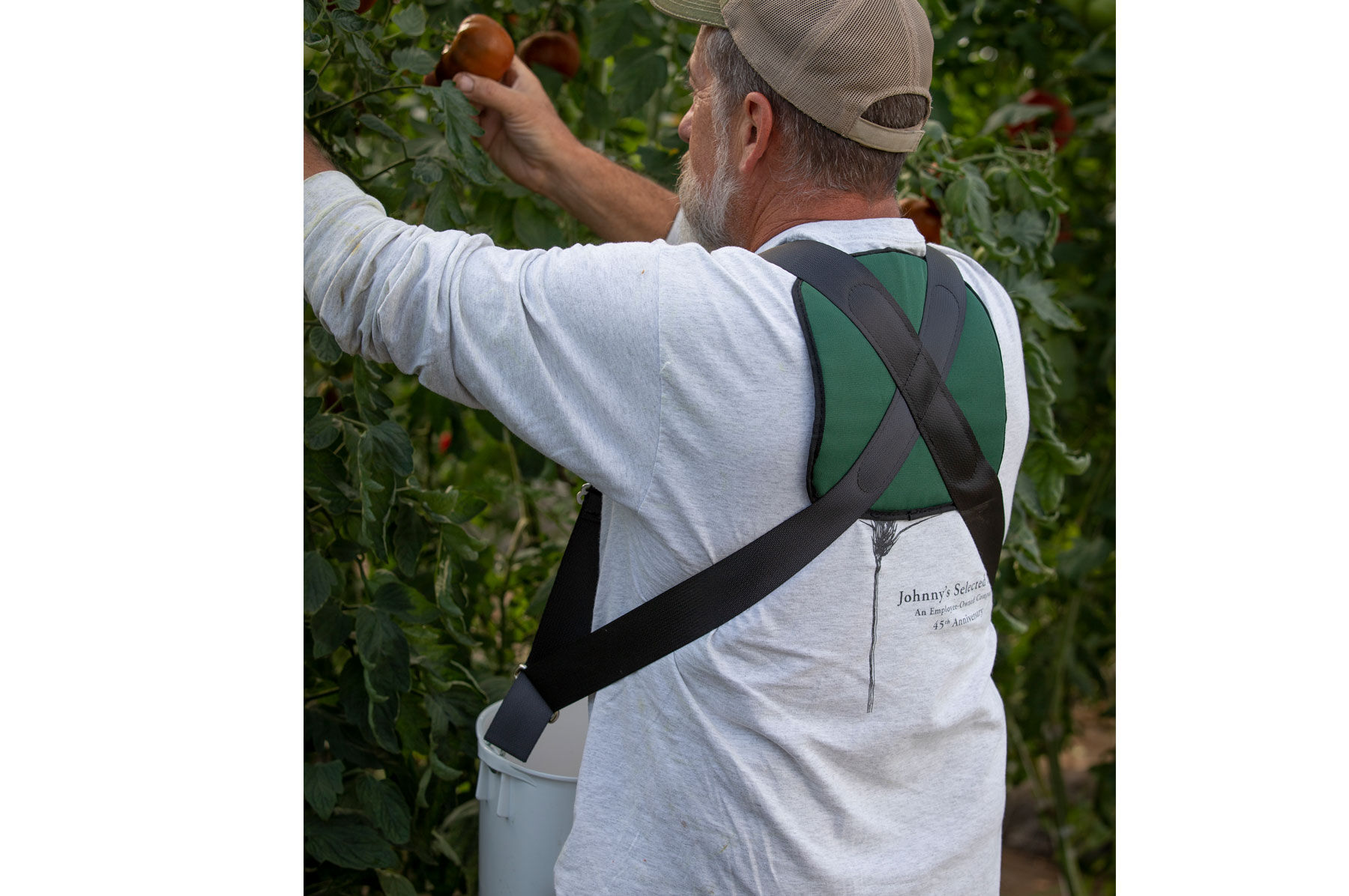 Harvest Bucket Containers & Baskets