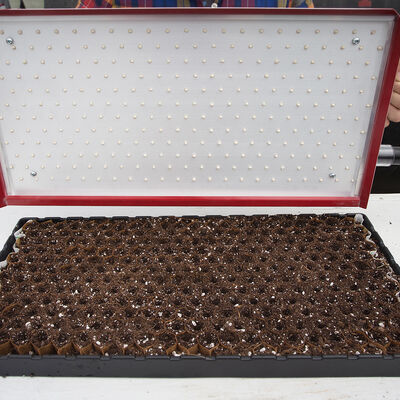 Seed Plate A264 Vacuum