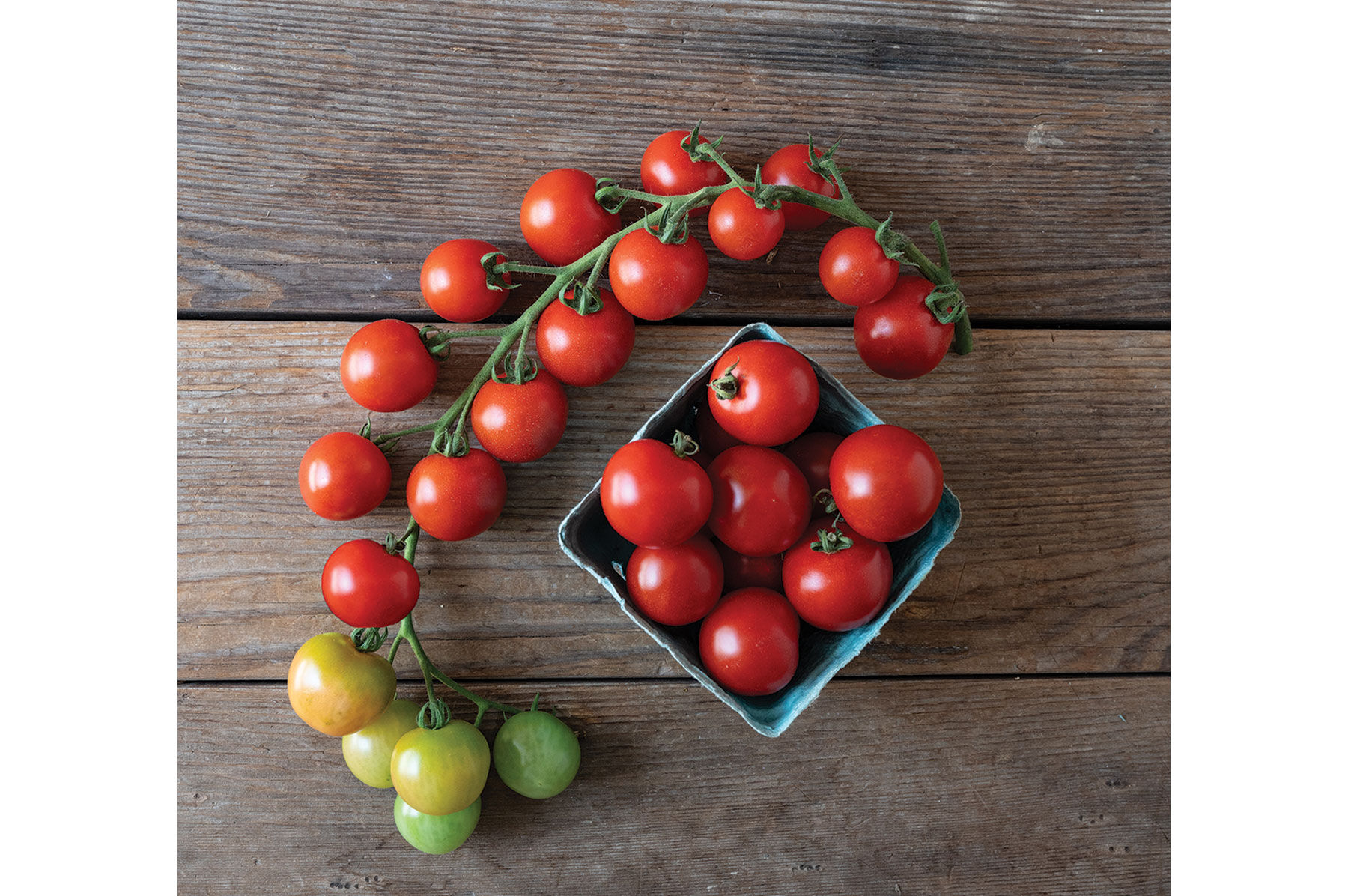 Sakura Cherry Tomatoes