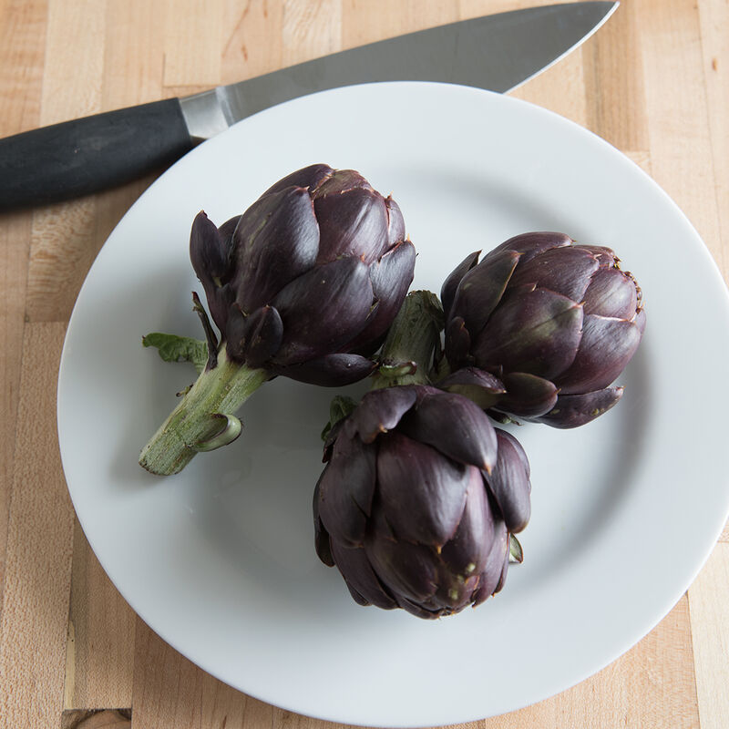 Colorado Star Artichokes