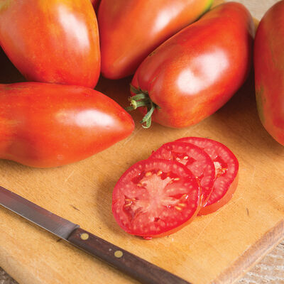 Blue Beech Heirloom Tomatoes