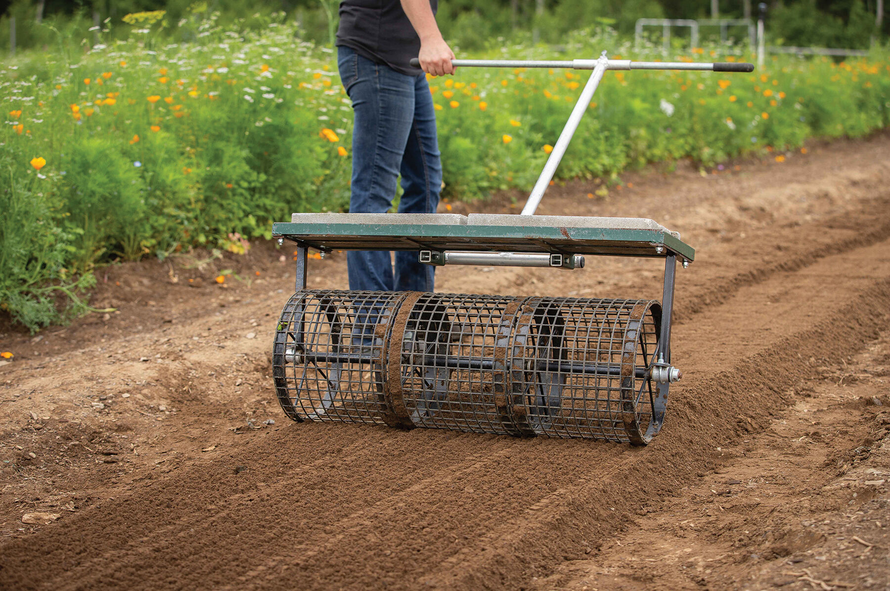 Grass seed roller new arrivals
