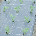 Hortonova FA – 48" x 328' Trellis Netting