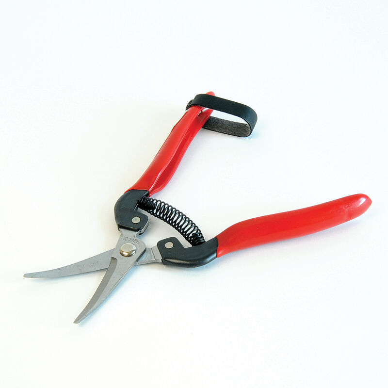 Gardening Shears