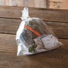 Jewel &ndash; Spring-Planted Strawberry Bare-Root Plants