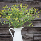 Green Gold Bupleurum