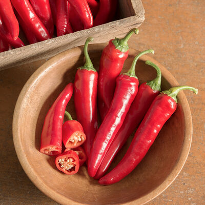 Red Ember Hot Peppers